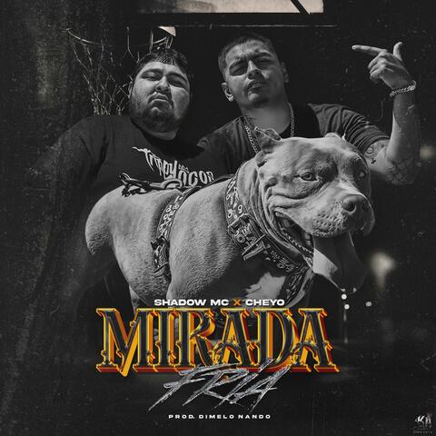 Mirada Fria (feat. El Cheyo)