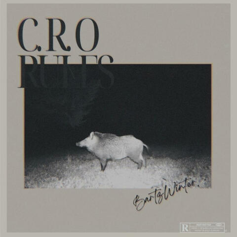 C.R.O RULES