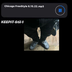 Chicago Free$tyle