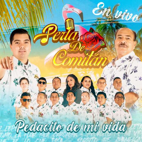 Pedacito De Mi Vida (En vivo) (En vivo)