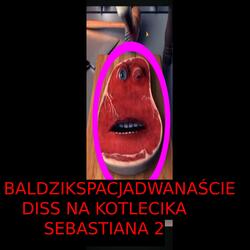 Diss na Kotlecika Sebastiana 2 (jamroz Remix)