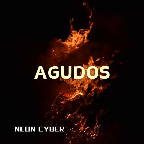 AGUDOS