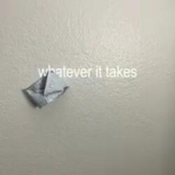 whatever it takes