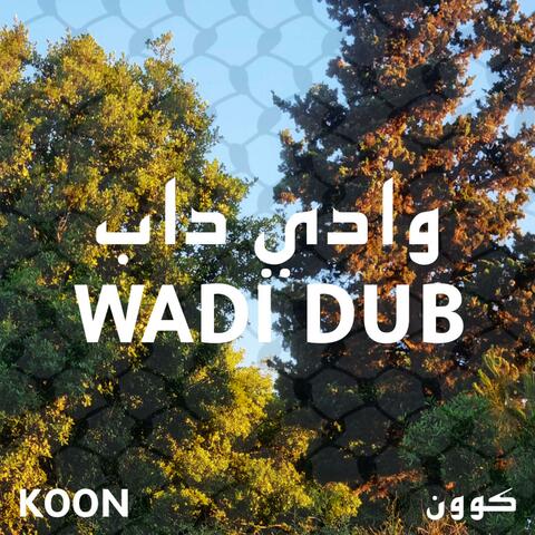 وادي داب
