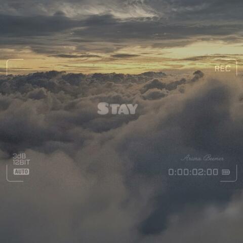 Stay (Cover Song)