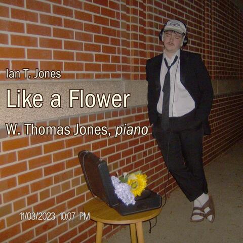 Like a Flower