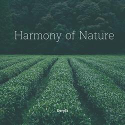 Music of the Green Forest