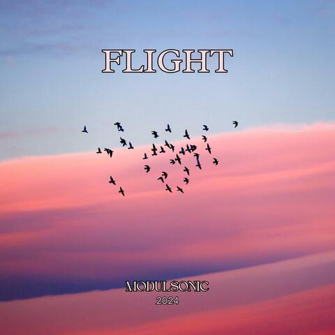 Flight