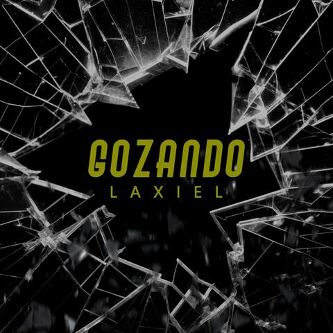 GOZANDO