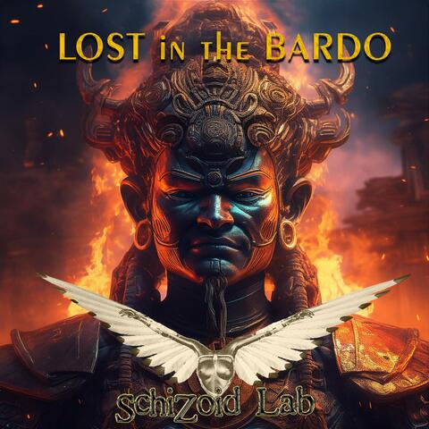 Lost in the Bardo