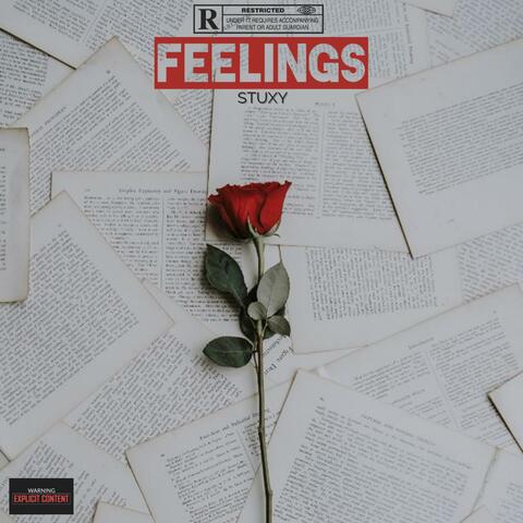 Feelings