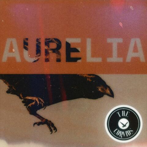 Aurelia