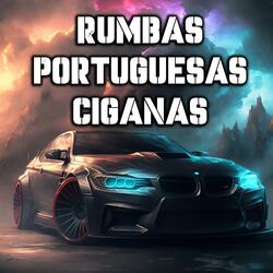 Tema (Rumbas Portuguesas) [Dj Diego]