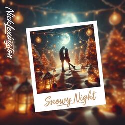 Snowy Night