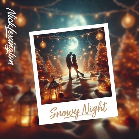 Snowy Night