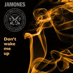 Don't Wake Me Up