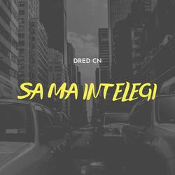 SA MA INTELEGI
