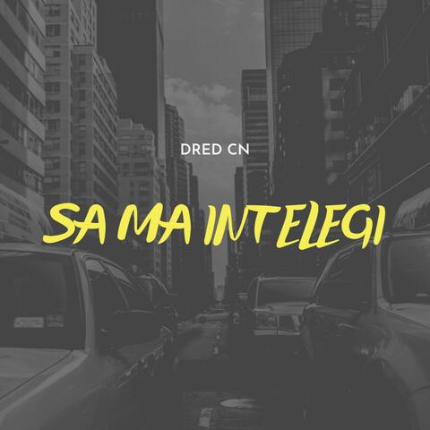 SA MA INTELEGI
