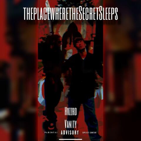 theplacewheretheSecretSleeps (feat. Vanity)