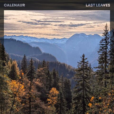 Last Leaves