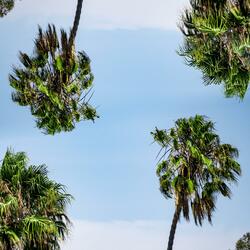 Wire Sponge (From "Mega Man X2") (feat. Consolous)