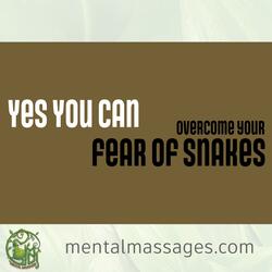 Overcome Your Fear Of Snakes