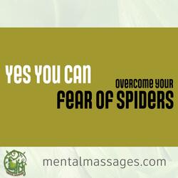 Overcome Your Fear Of Spiders