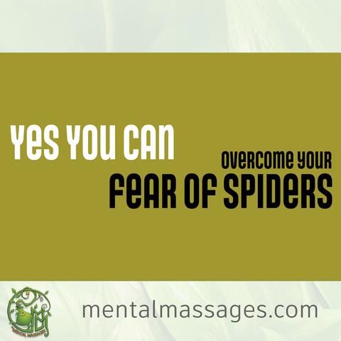 Overcome Your Fear Of Spiders