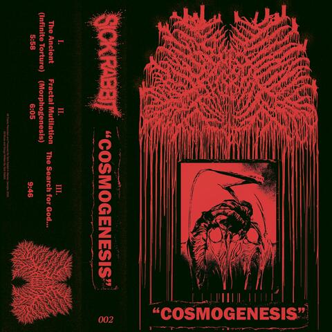 COSMOGENESIS