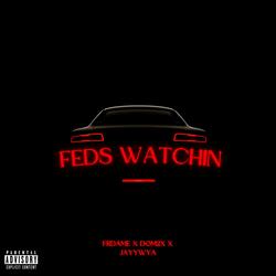 Feds Watchin (feat. Frdame & Dom2x)