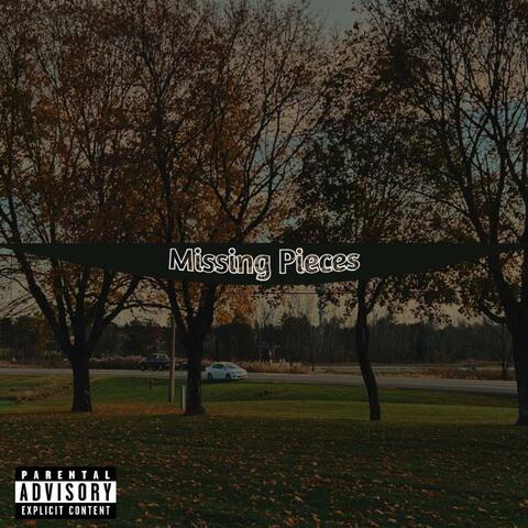 Missing Pieces