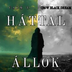 Háttal állok  (feat. Calm T) (Dark version)