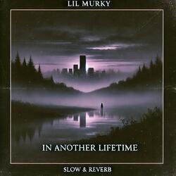 Nightlight (feat. Kli Nt) (Slow & Reverb)