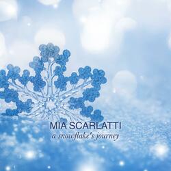 A Snowflake's Journey