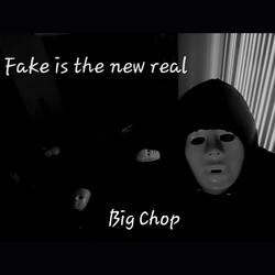 FAKE IS THE NEW REAL