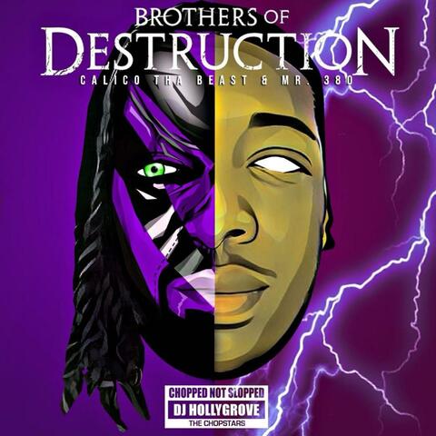 Brothers of Destruction (ChopNotSlop Remix)