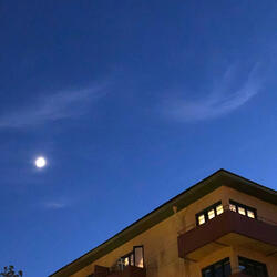 There's a Demon in Me