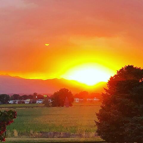 Monarch Studio Demos