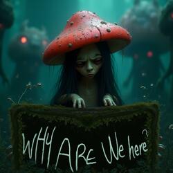 Why are we here ?