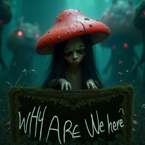 Why are we here ?