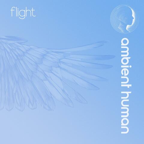 Flight