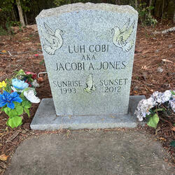 WHY (2015) (feat. Diara Jaye & Big Al)