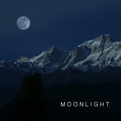 Moonlight