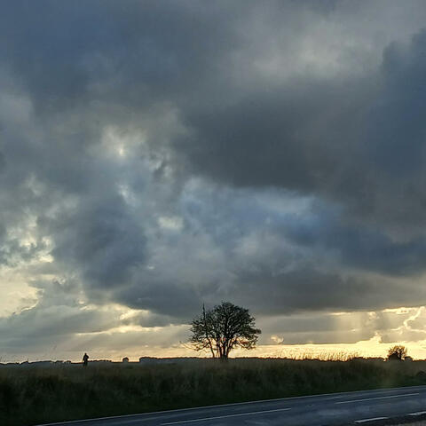 Moody Sunlight (feat. William West-Boyle)