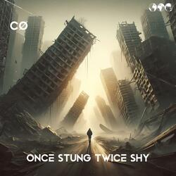 ONCE STUNG TWICE SHY