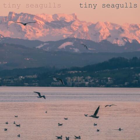 tiny seagulls