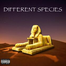 Different Species (feat. King.Bo.)