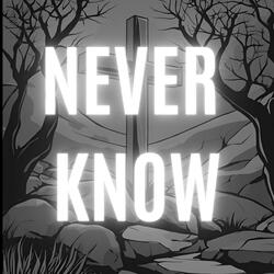 Never Know
