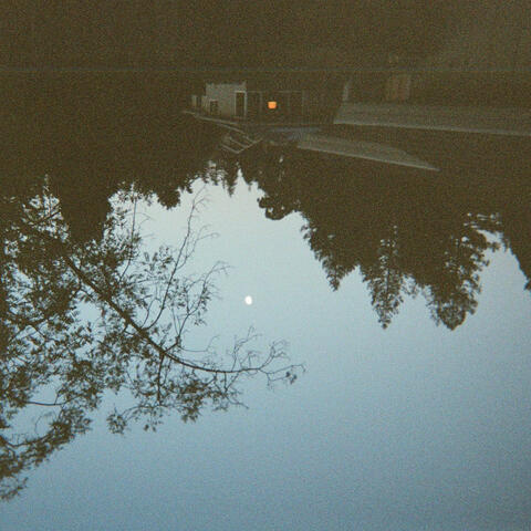 every day dreamin