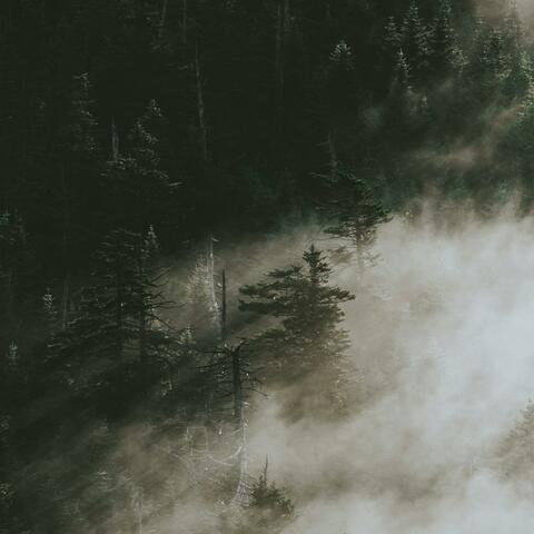 Subtle Lake and Quiet Divide